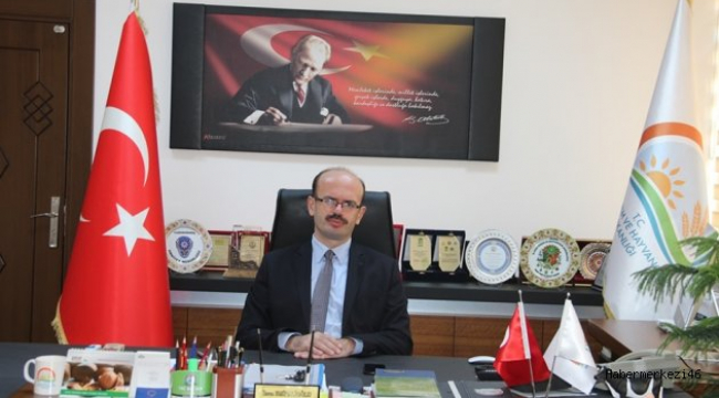 KİVİ ÜRETİMİNE BAŞLADIK