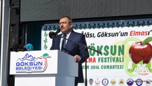 KUZEYİN İNCİSİNDEN MUHTEŞEM ELMA FESTİVALİ..