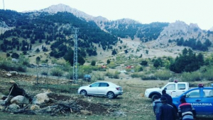 UÇAK DEĞİL, AĞAÇ DÜŞMÜŞ..
