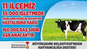 BÜYÜKŞEHİR’DEN HAYVANCILIĞA BÜYÜK DESTEK..