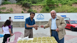 DULKADİROĞLU DUT SATIŞ NOKTASI'NDA SEZON AÇILDI..