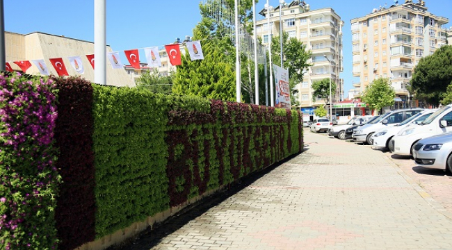 ÇİÇEK DUVARLAR BEĞENİLDİ...