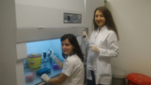 GENETİK TEST İÇİN ARTIK DIŞARI GİDİLMEYECEK...