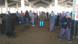 GENÇ ÇİFTÇİLER DESTEKLENİYOR…