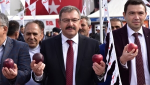 Meyvenin Âlâsı, Göksun’un Elmas’ı.