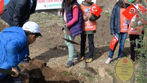 ŞEHİTLER ORMANI KURULDU