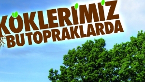 81 İLDE 100 BİN GÖNÜLLÜ, 100 BİN FİDAN DİKECEK