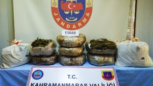 ORMANDA SAKLANAN ESRAR ELE GEÇTİ