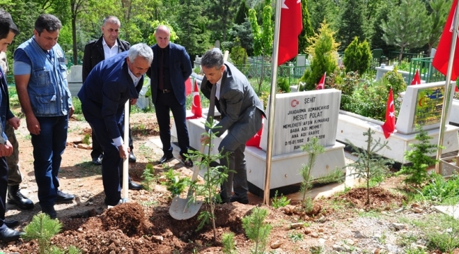 ŞEHİT KABİRLERİ FİDANLARLA SÜSLENDİ