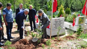 ŞEHİT KABİRLERİ FİDANLARLA SÜSLENDİ
