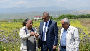 TARLA BİTKİLERİ ARAŞTIRMA VE UYGULAMA BİRİMİ AÇILDI