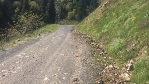 YAVŞAN YOLU GENİŞLETİLİYOR