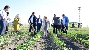 AK KADROLAR DİMDİK AYAKTA...