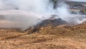 10 TON MERCİMEĞİ YAKTILAR..