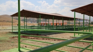 AFŞİN’İN YENİ HAYVAN PAZARINDA ÇALIŞMALAR DEVAM EDİYOR