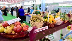 TARIM GIDA VE HAYVANCILIK FUARI AÇILDI..