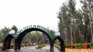 YEŞİLTEPE KIŞA HAZIR..