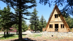BAŞKAN OKAY YALNIZ ARDIÇ MESİRE ALANI ÇALIŞMALARINI İNCELEDİ..