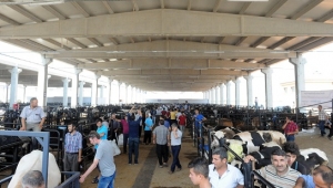 KURBAN SATIŞ, KESİM YERİ VE KESİM ÜCRETLERİ BELİRLENDİ..