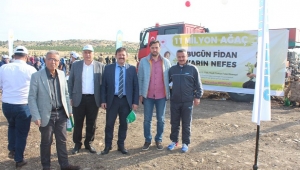 BUGÜN FİDAN YARIN NEFES 11 MİLYON AĞAÇ TOPRAKLA BULUŞTU..