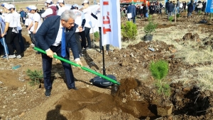 ZABUN: