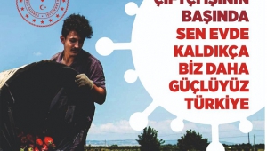 TÜRKOĞLU'NDA SEZONUN İLK ÜRÜNÜ YETİŞTİ..