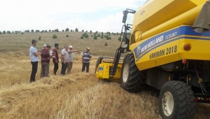 TÜRKOĞLU TARIMDA DENETİMLER HER ALANDA...