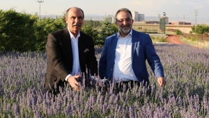 SANAYİCİLERİMİZİN YAPTIĞI ZİYARET BÖLGE ADINA BAŞLANGIÇ OLACAKTIR..