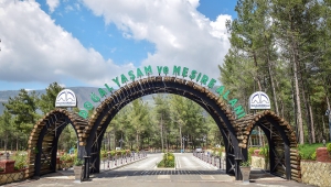 SICAKTAN BUNALAN DULKADİROĞLU MESİRE ALANINA KOŞTU..
