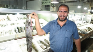Balık fiyatları cep yakıyor ..