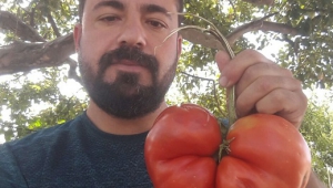 Herkes bu tohumun peşinde..