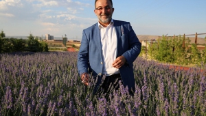 Afşin, mis kokulu lavanta tarlalarıyla ziyaretçilerini ağırlıyor....