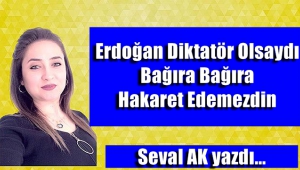 Erdoğan Diktatör Olsaydı Bağıra Bağıra Hakaret Edemezdin