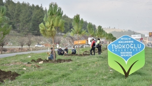 Diktiğimiz her fidan ileride atmosferin temizlenmesine katkı sağlayacak..