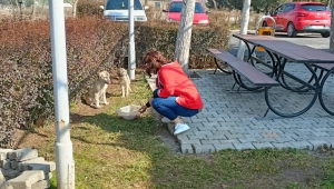 Sokak hayvanlarının ailesi oldular