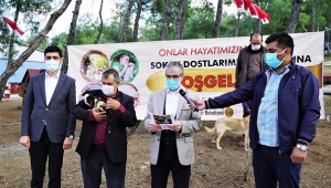 Büyükşehir 35 Bin Canın Evi Oldu..