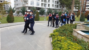 DEAŞ’lı teröristler tutuklandı