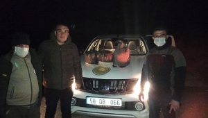 Kahramanmaraş’ta yaban hayatı fotokapanla adım adım izleniyor