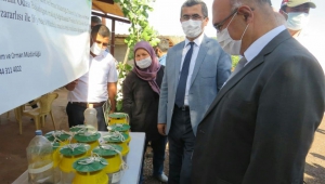 Kahramanmaraş’ta Antep fıstıkları biyoteknikle korunuyor