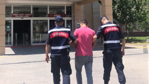 Kahramanmaraş’ta kovan hırsızı tutuklandı