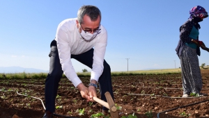 Yol Yatırımları Artarak Devam Ediyor
