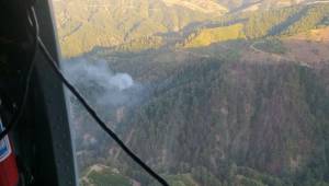 Kahramanmaraş’ta orman yangını
