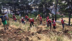 Kahramanmaraş’ta şehitlerin adı fidanlarla yaşayacak
