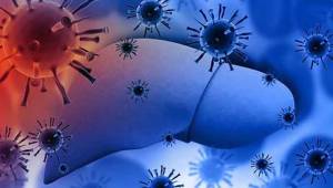 Doç. Dr. Fatma Gümüşer Hepatit günü hakkında bilgilendirdi