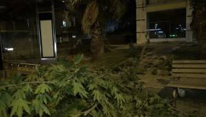 Kahramanmaraş’ta şiddetli rüzgar çatıları uçurdu ağaçları yerinden söktü