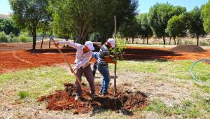Afşin Tanır Mesire Alanı Yenileniyor
