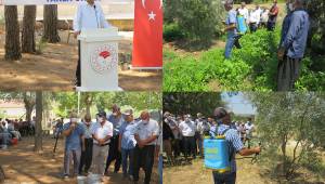 Andırın’da Zeytin Sineği İle Toplu Mücadele Tarla Okulu Programı Gerçekleştirildi