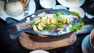 Dr. Selman’dan beyin gelişimi ve görme bozukluğuna karşı omega önerisi 