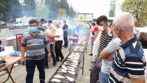 Kahramanmaraş’ta balık festivali düzenlendi 