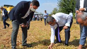 Onikişubat İlçesinde Soya Hasat Günü Düzenlendi